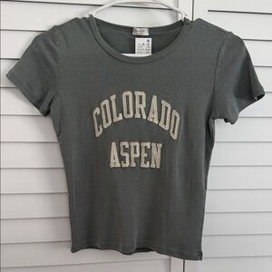 Brandy Melville Gray 'Colorado Aspen' Tee